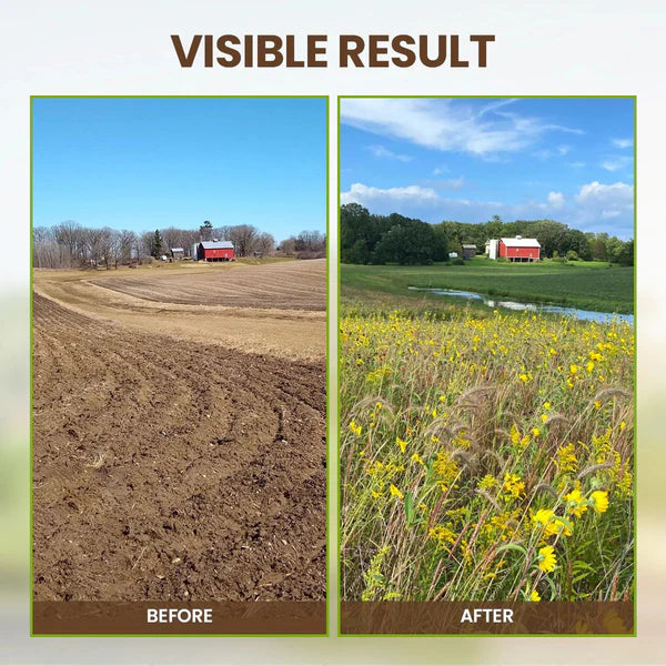 🔥Seasonal Promotion🔥-Soil Pro Activator