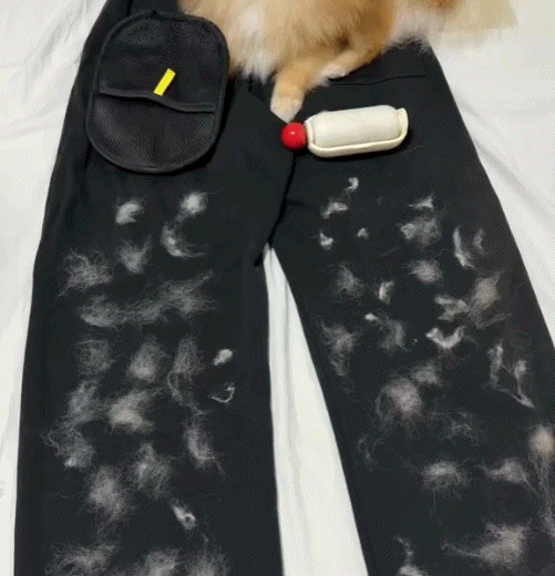 Shewater™ - Pet Hair Removal Gloves Buy 1 Get 1 Free