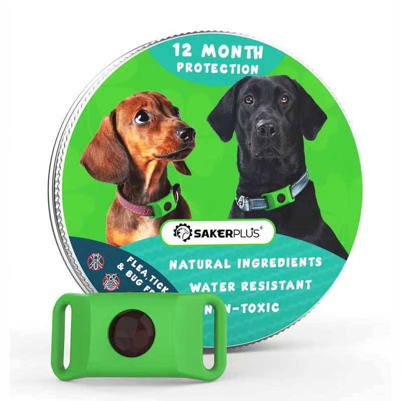 Natural Protection, All-Day Comfort, and Year-Round Peace of Mind