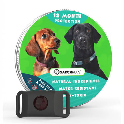 Natural Protection, All-Day Comfort, and Year-Round Peace of Mind