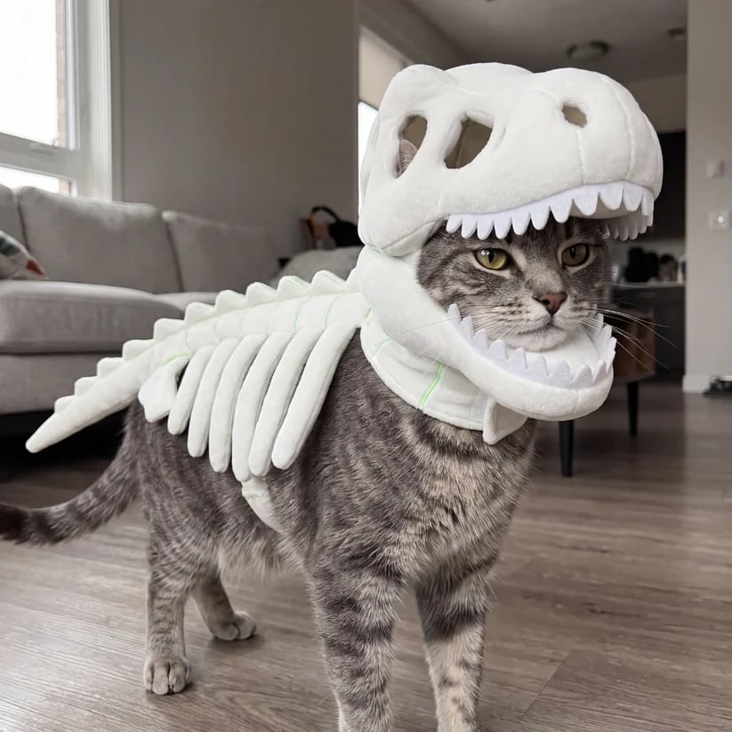 Glow-in-the-Dark Dinosaur Skeleton Pet Costume 🦖💚
